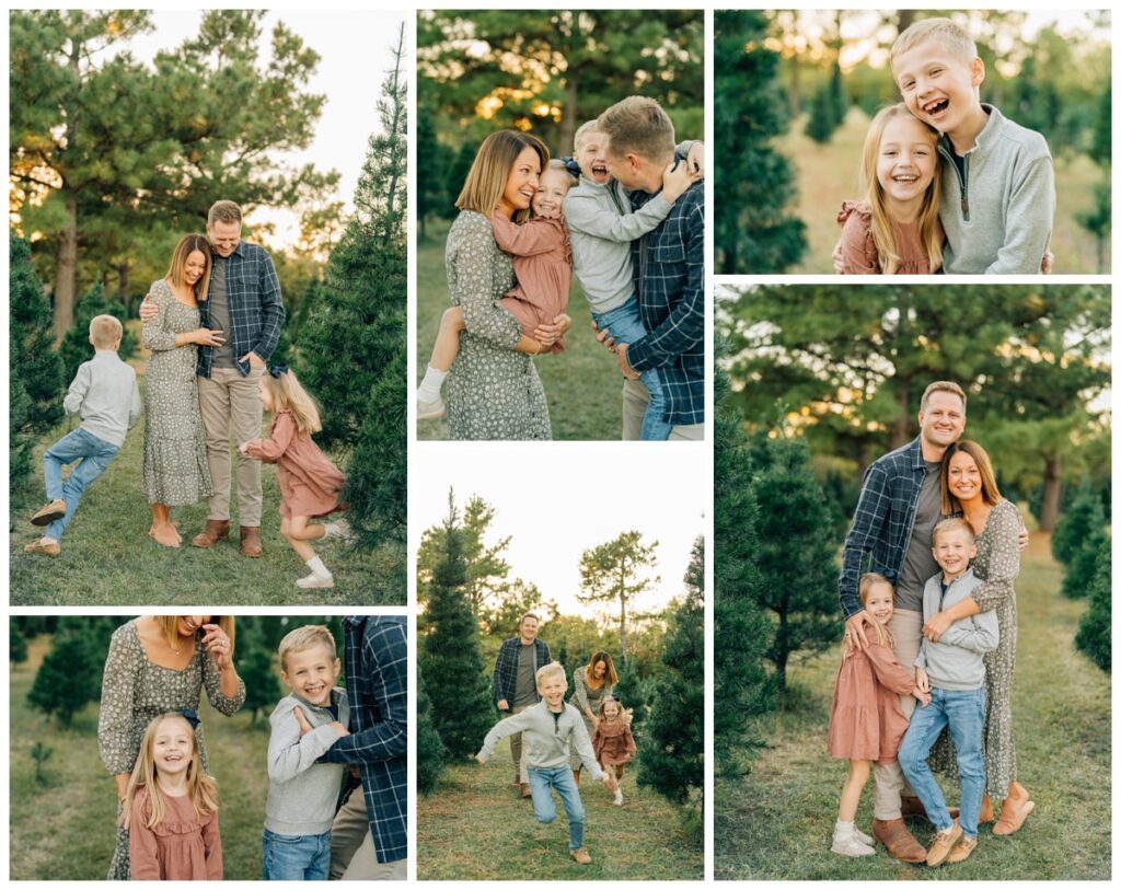 family fall photo session in Christmas tree farm 