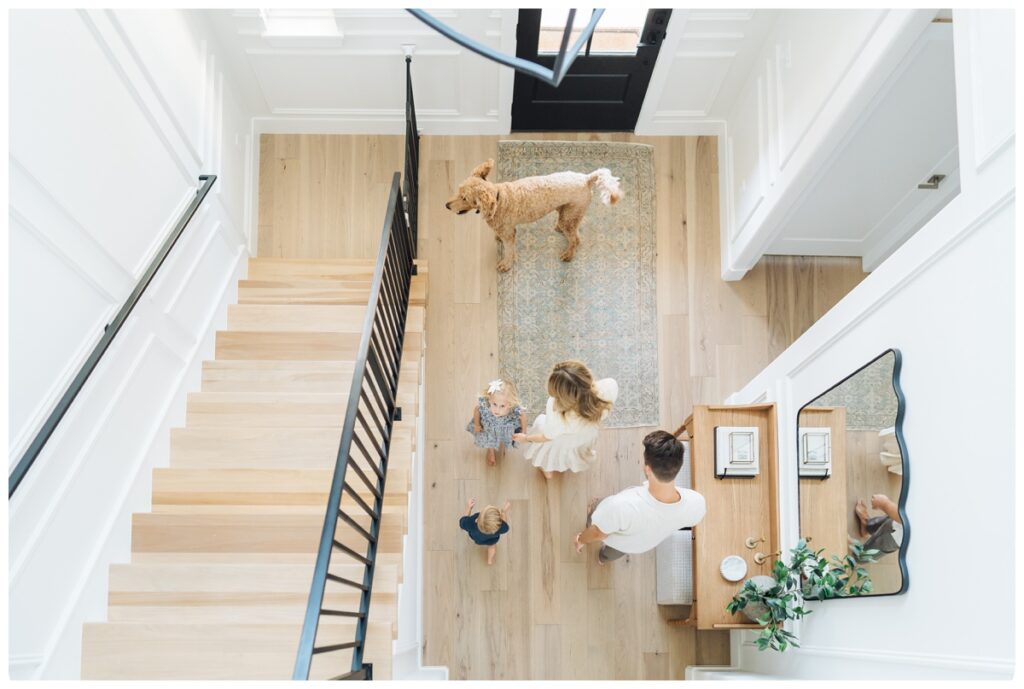  birds eye view family portraits with pets
